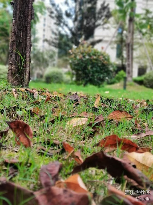 【Galaxy影像】自然的律動+ 秋天的顏色