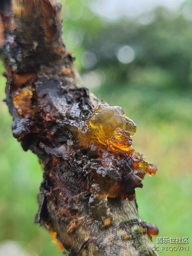 【金秋色彩】+秋日色彩