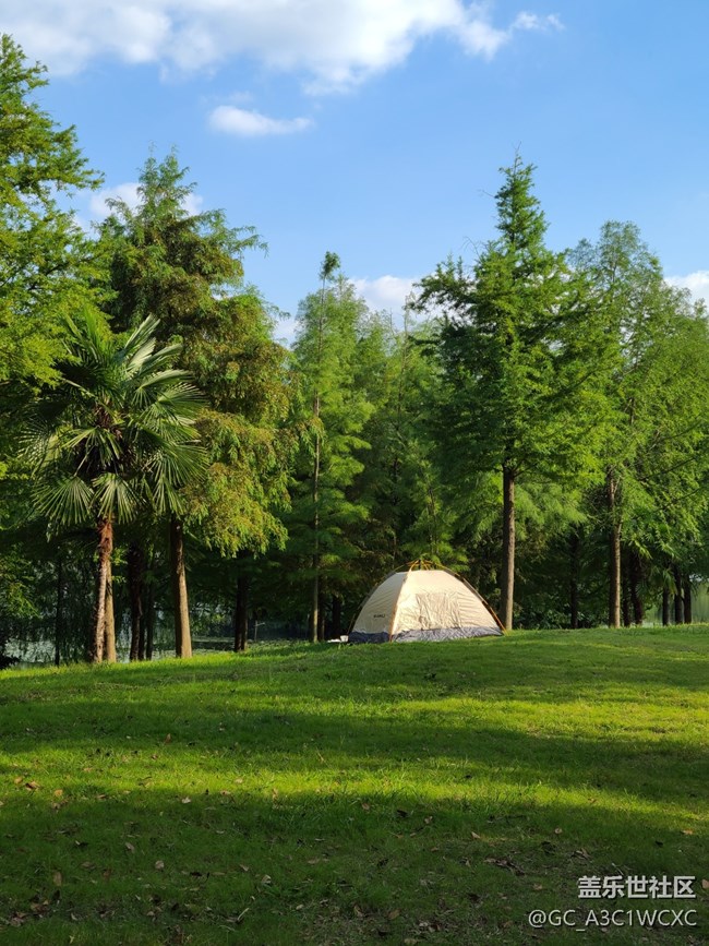 【十月的蜀國】公園景色