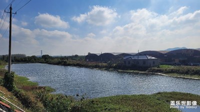 【生活禮贊】+ 邊走邊拍