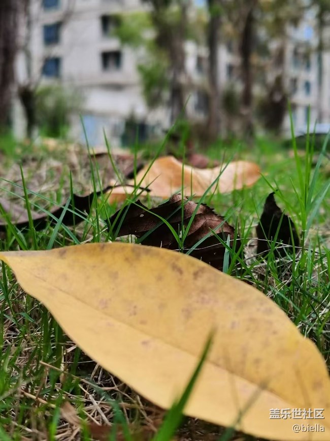 【Galaxy影像】自然的律動+ 秋天的顏色