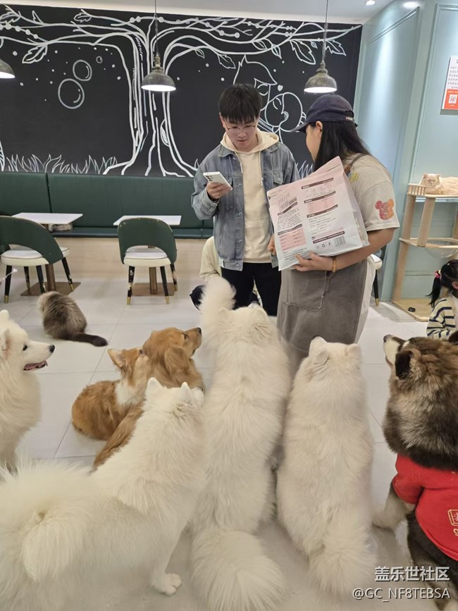 三星成都星部落-寵物攝影活動(dòng)