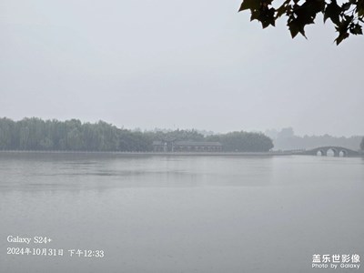 【生活禮贊】+公園雨天隨拍