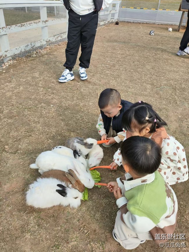 三星活動(dòng)回顧貼