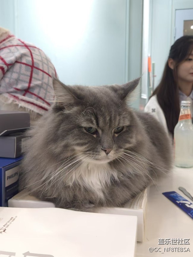 三星成都星部落-寵物攝影活動(dòng)