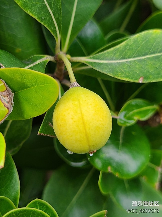 【十月的蜀國(guó)】+ 美麗十月