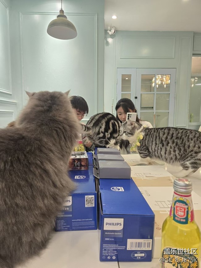 “成都星部落”的第六場線下活動