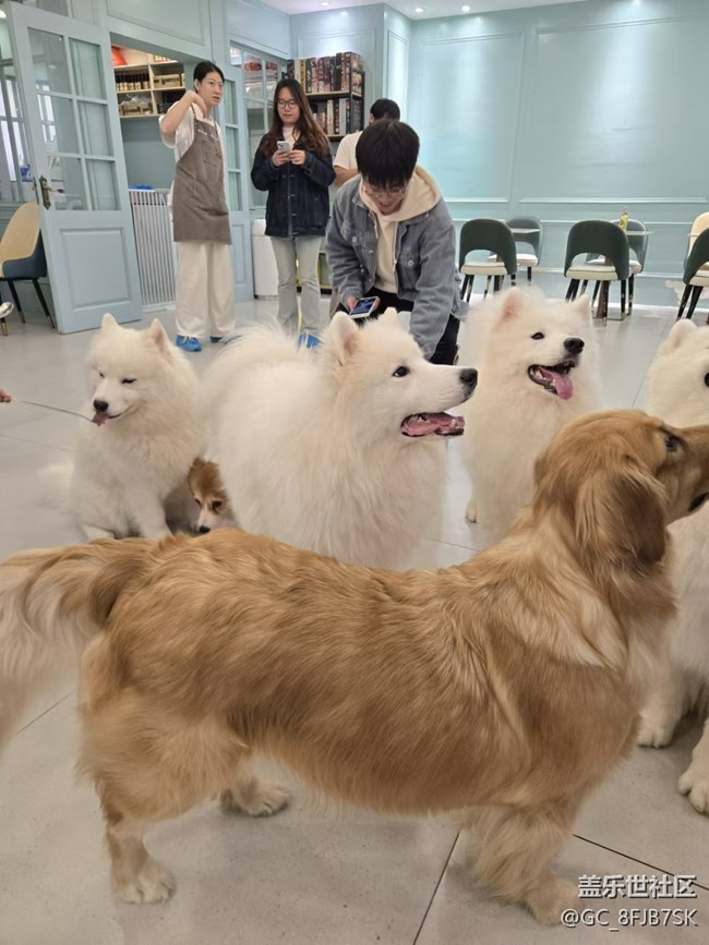 “成都星部落”的第六場線下活動