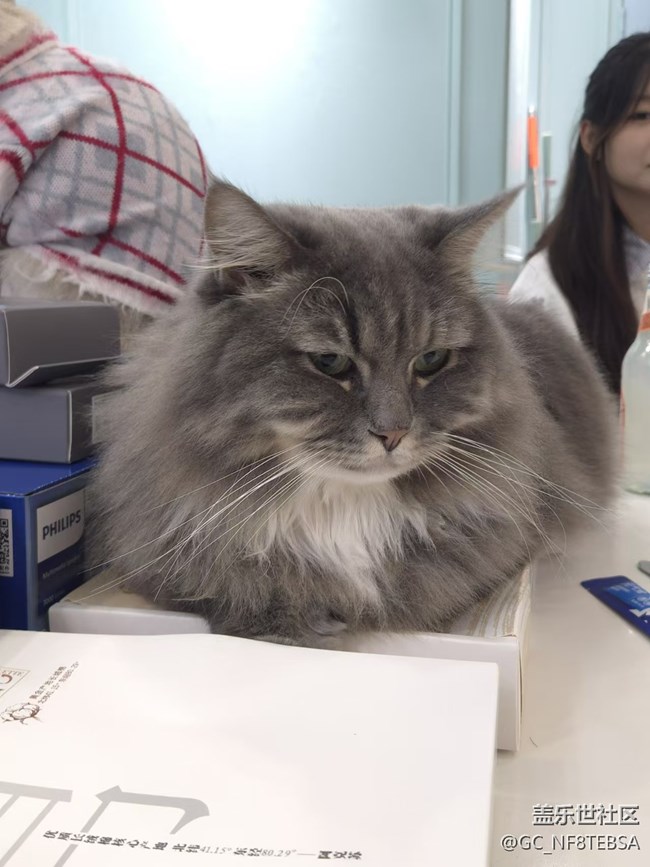 三星成都星部落-寵物攝影活動(dòng)