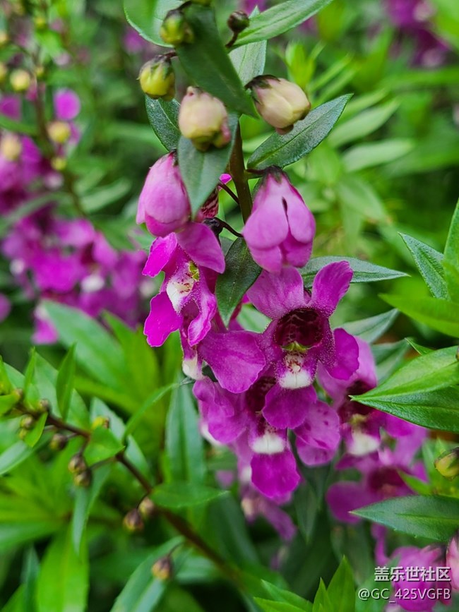 【十月的蜀國(guó)】+ 美麗十月