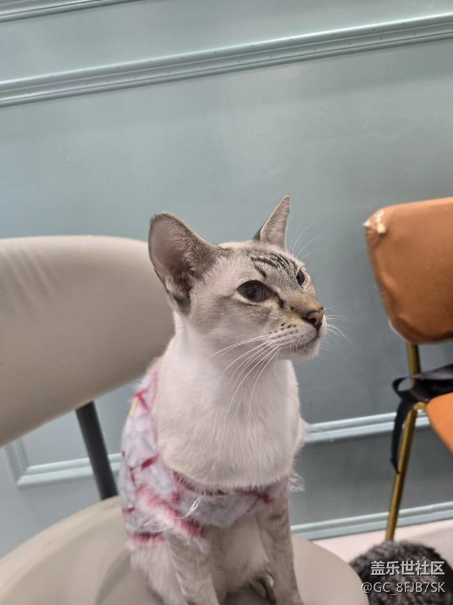 “成都星部落”的第六場線下活動