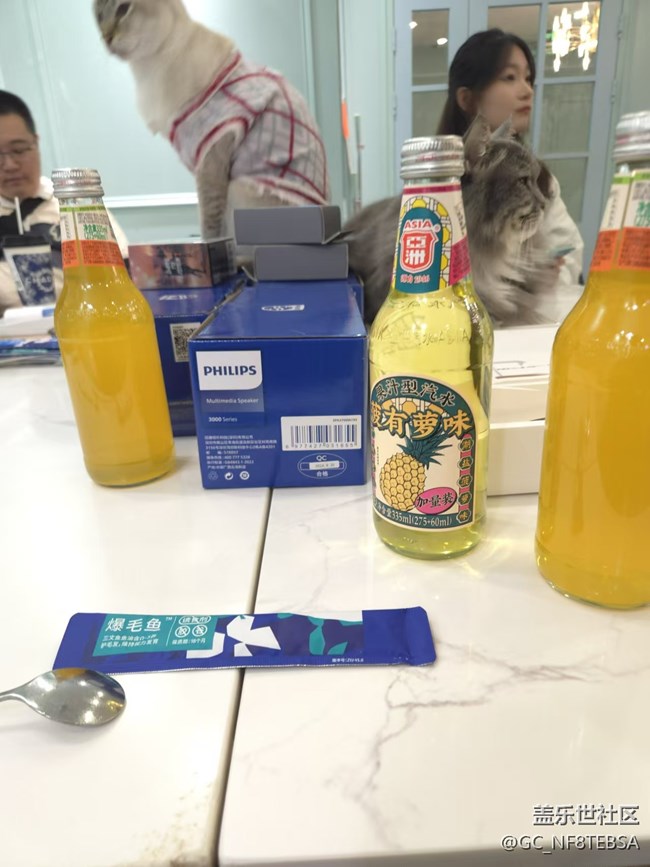 三星成都星部落-寵物攝影活動(dòng)