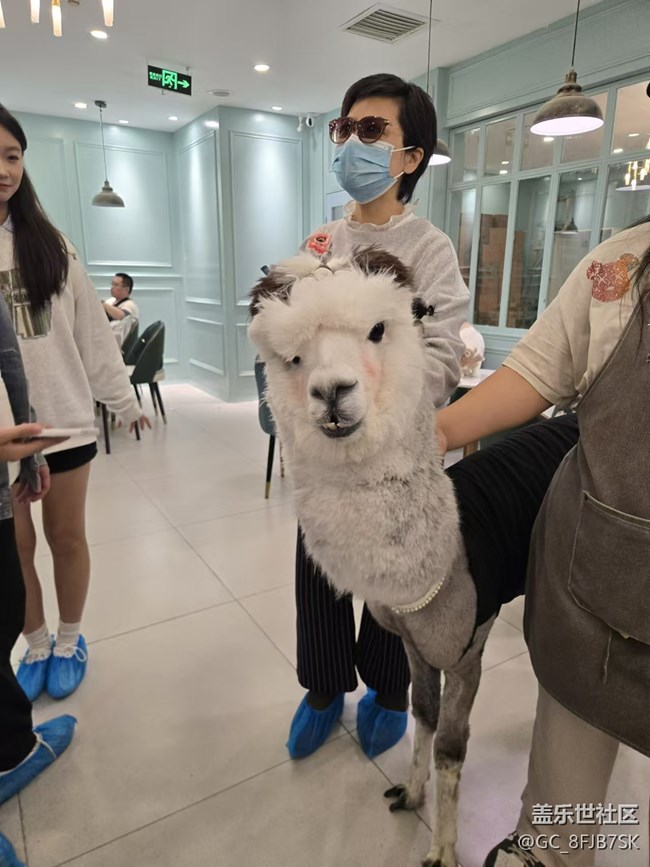 “成都星部落”的第六場線下活動