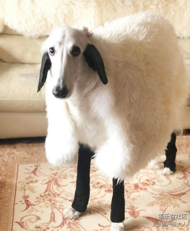 萬圣節(jié)新COS