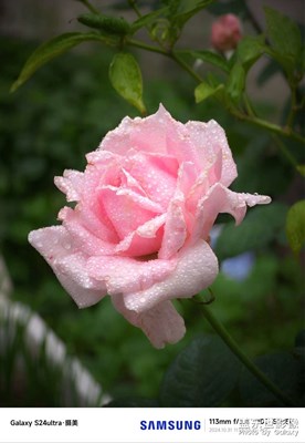 谷歌相機(jī)AGC8.4