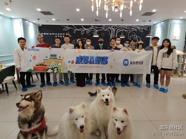 三星成都星部落-寵物攝影活動(dòng)