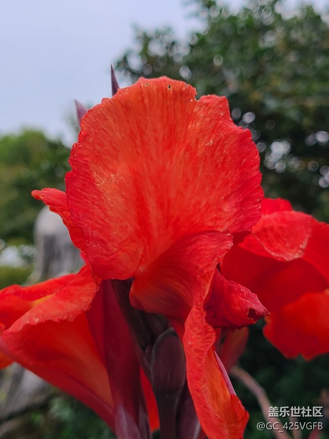 【十月的蜀國(guó)】+ 美麗十月