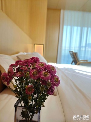 【生活禮贊】點贊