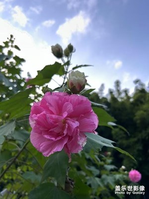 【生活禮贊】享受美景