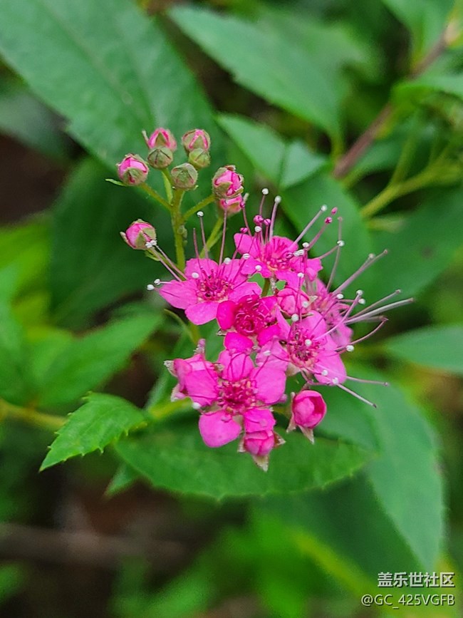 【十月的蜀國(guó)】+ 美麗十月