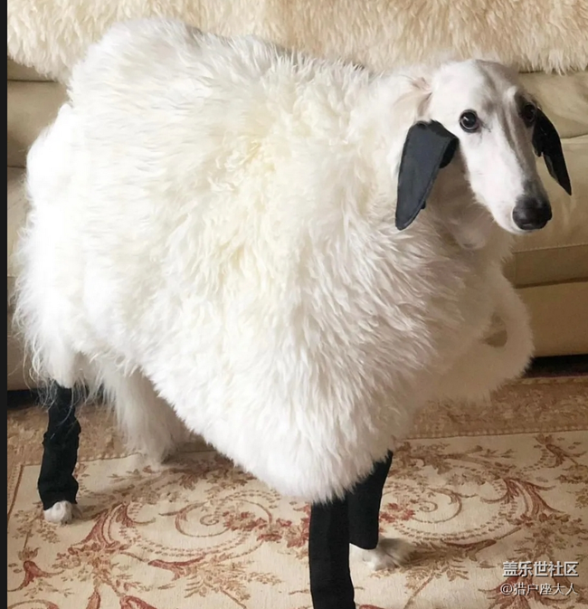 萬圣節(jié)新COS