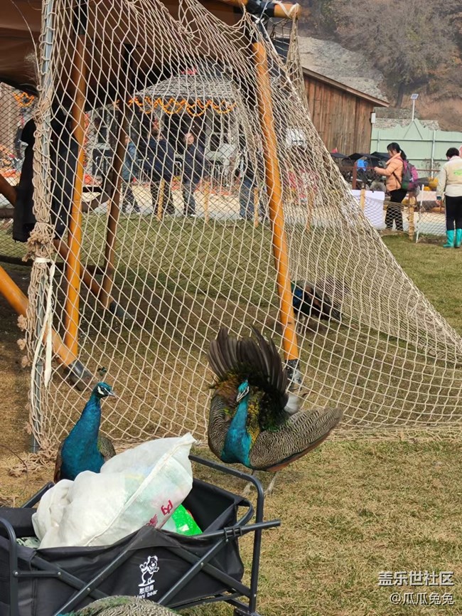 三星活動(dòng)回顧貼