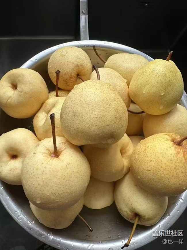 【暮秋尋味】秋梨膏