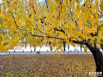 【生活禮贊】+ 傍晚河邊散步