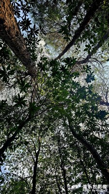 【生活禮贊】+?生活中的美好