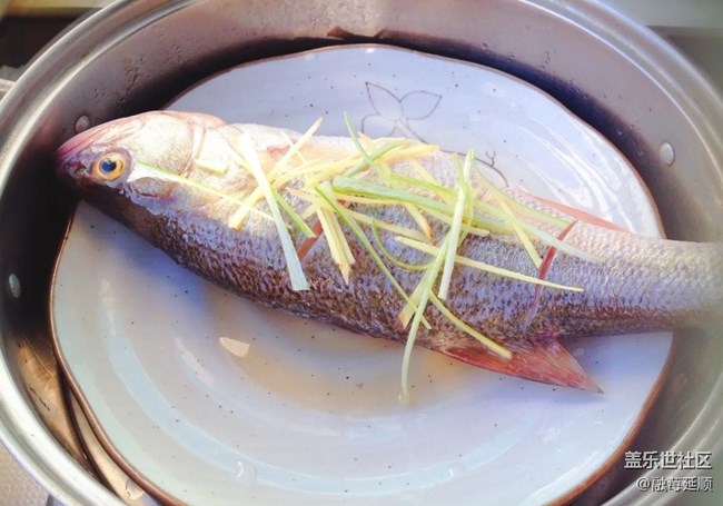 【秋季霸王餐】清蒸鱸魚