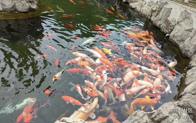 【名勝古跡】泰山岱廟