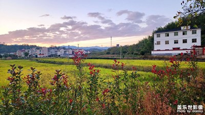 【生活禮贊】+ 金華武義縣的落日稻田晚霞