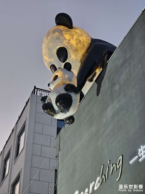 【生活禮贊】+ 深秋的隨拍