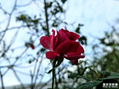 【生活禮贊】+2號河邊家里瞅