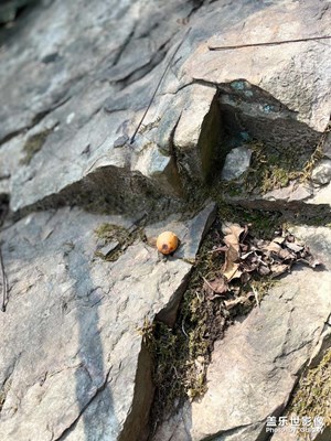 【生活禮贊】享受生活