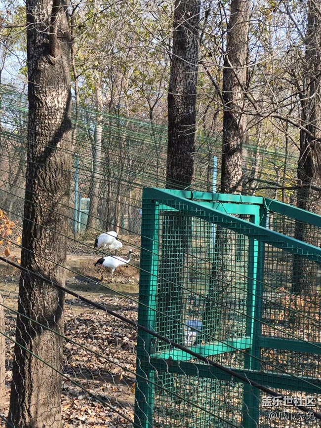 三星星部落鳥島攝影活動回顧