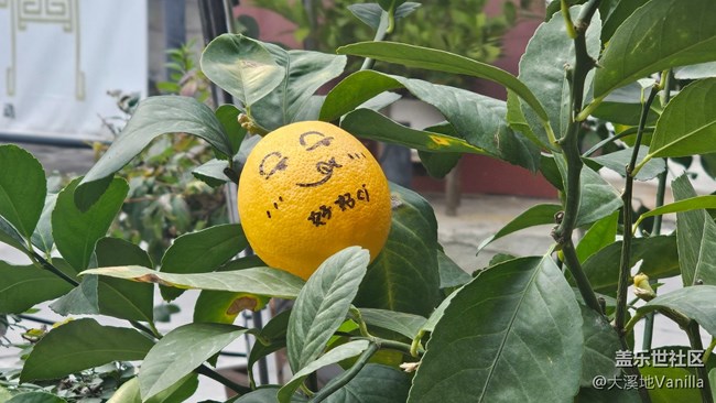 【北京胡同】+感受古韻魅力
