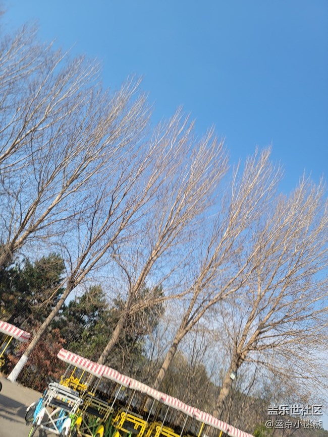 【沈陽星部落】【沈陽鳥島一日游及三星手機(jī)拍攝體驗(yàn)】