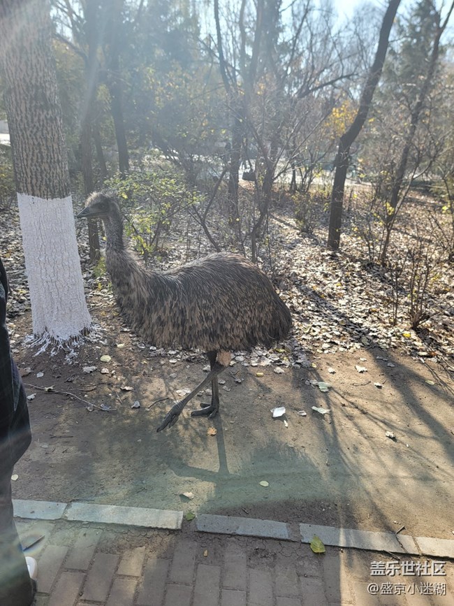 【沈陽星部落】【沈陽鳥島一日游及三星手機(jī)拍攝體驗(yàn)】