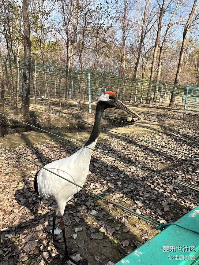 【回顧貼】三星鳥島行，齊聚樂翻天