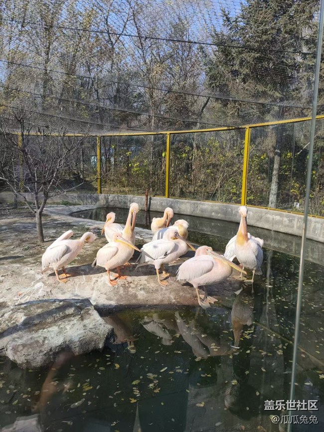 三星星部落鳥島攝影活動回顧