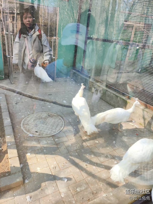 三星星部落鳥島攝影活動回顧