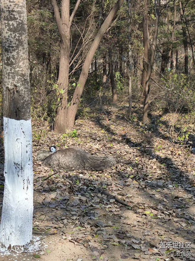 三星星部落鳥島攝影活動回顧