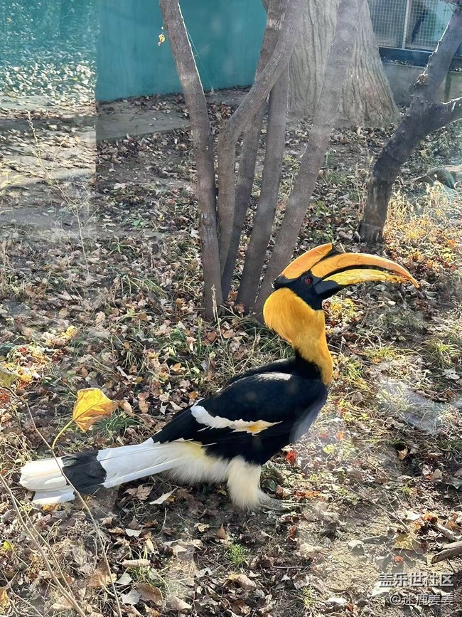 【回顧貼】三星鳥島行，齊聚樂翻天