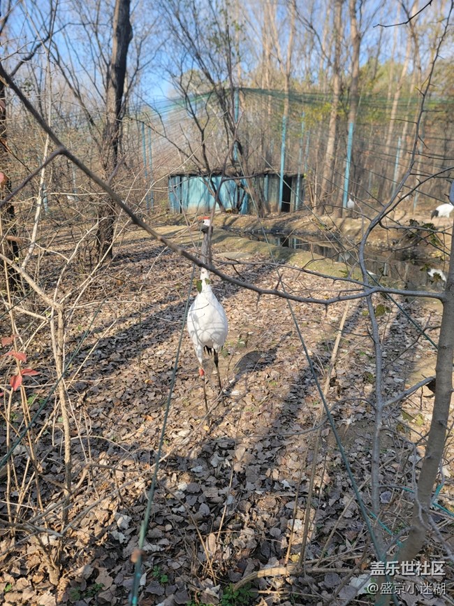 【沈陽星部落】【沈陽鳥島一日游及三星手機(jī)拍攝體驗(yàn)】