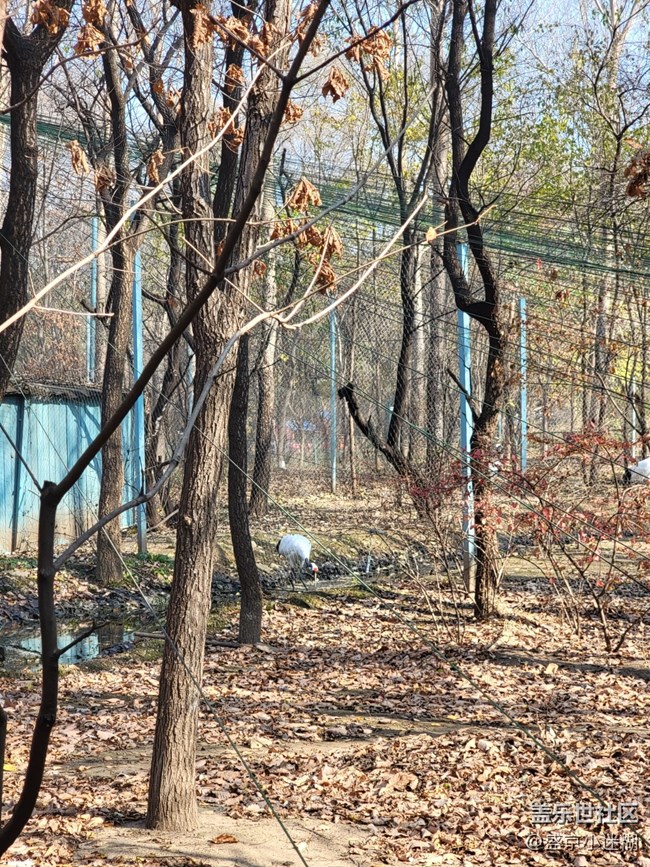 【沈陽星部落】【沈陽鳥島一日游及三星手機(jī)拍攝體驗(yàn)】