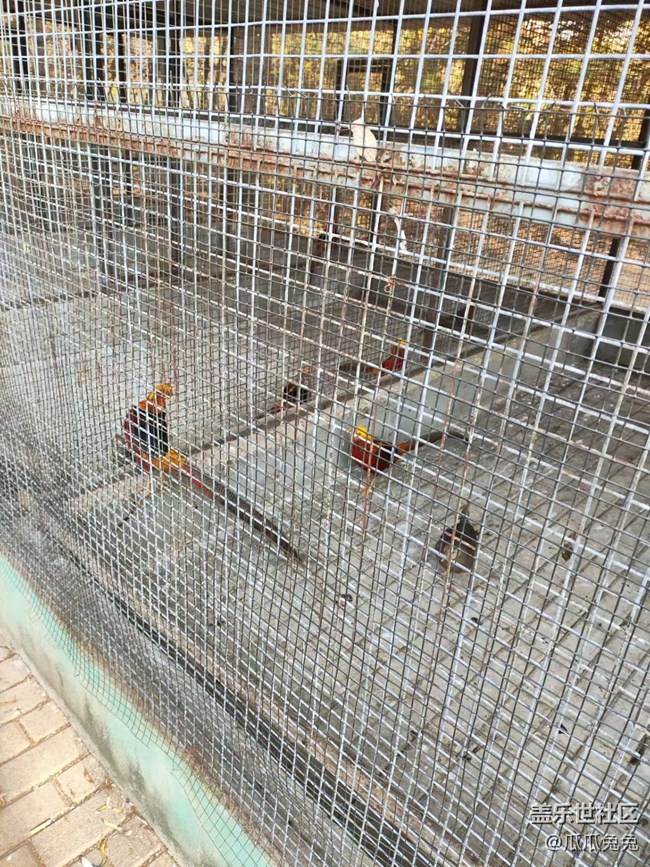 三星星部落鳥島攝影活動回顧