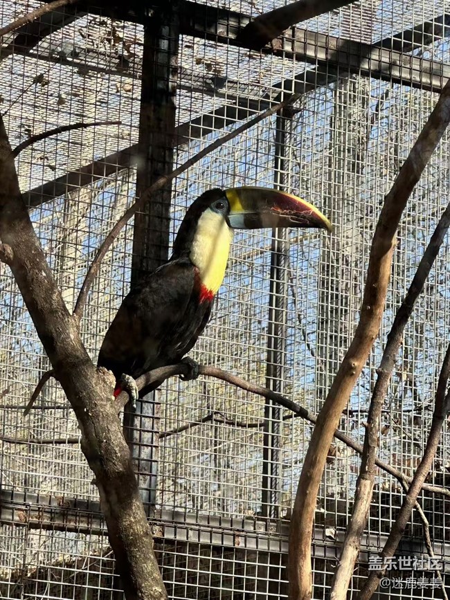 【回顧貼】三星鳥島行，齊聚樂翻天