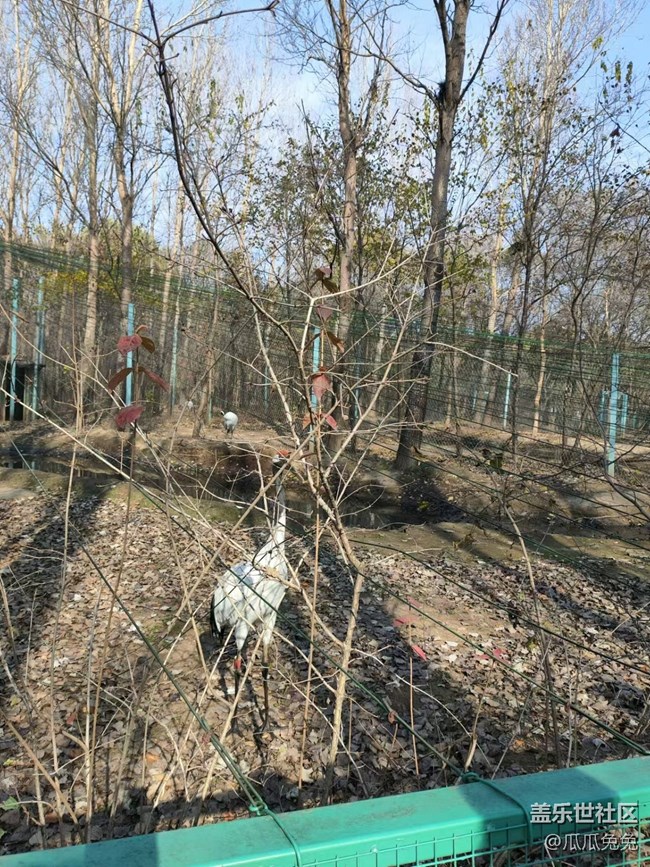 三星星部落鳥島攝影活動回顧