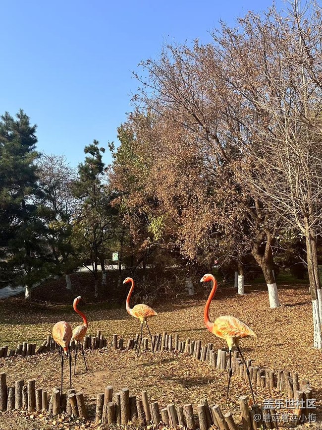 【回顧貼】秋游鳥島，其樂無窮